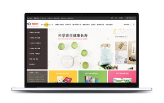 上海十大品牌策划公司 沪琛品牌营销策划公司网页设计